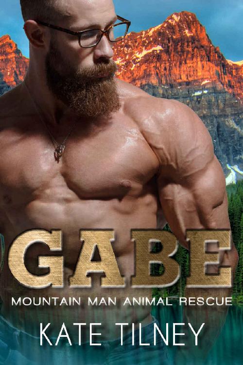 GABE: a mountain man, curvy woman short and sweet instalove romance (Mountain Man Animal Rescue Book 2)