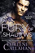 Fury of Shadows (Dragonfury Scotland Book 2)