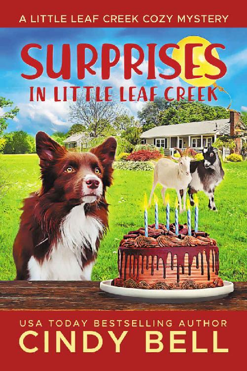 Surprises In Little Leaf Creek (A Little Leaf Creek Cozy Mystery Book 7)