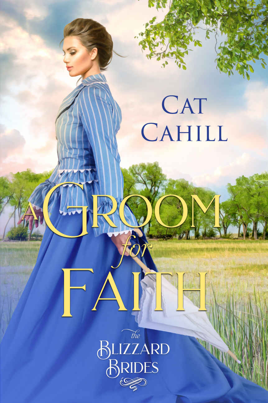 A Groom For Faith (Blizzard Brides #17)