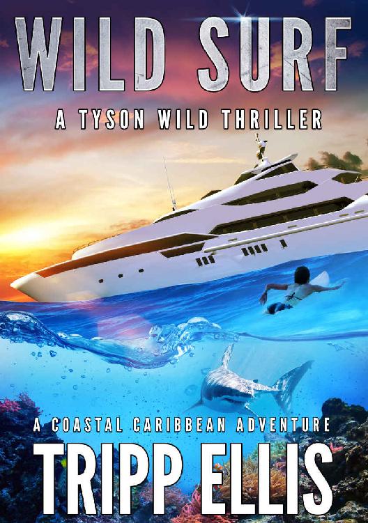 Wild Surf: A Coastal Caribbean Adventure (Tyson Wild Thriller Book 30)