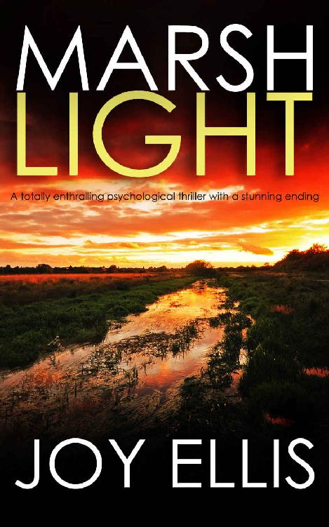 MARSHLIGHT a totally gripping psychological thriller with a stunning twist (Detective Matt Ballard Book 4)