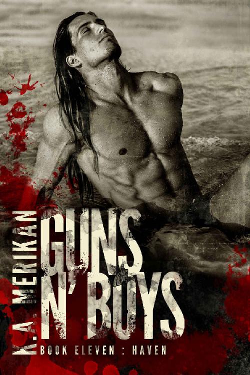 Guns n' Boys: Haven (Book 11) (gay dark mafia romance)