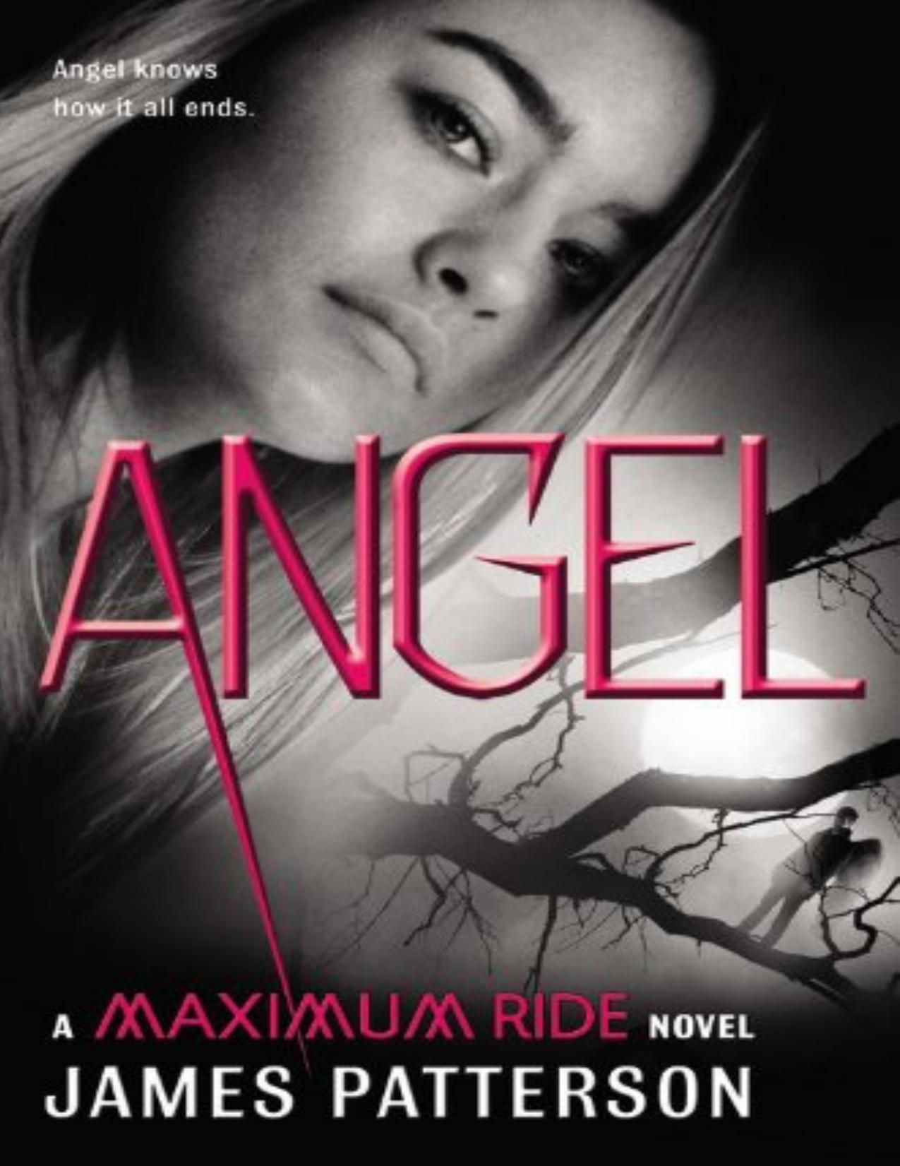 Maximum Ride 07 - Angel