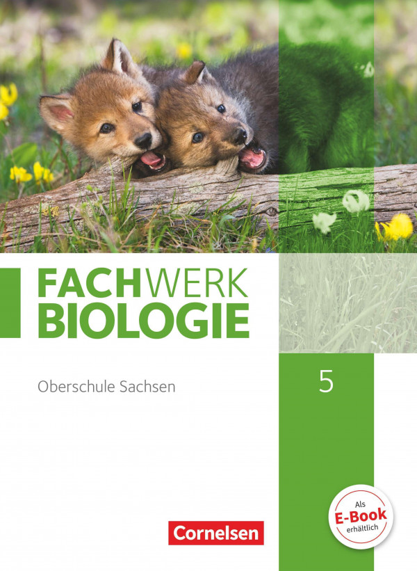 Fachwerk Biologie 5. Schuljahr - Sachsen - Schülerbuch