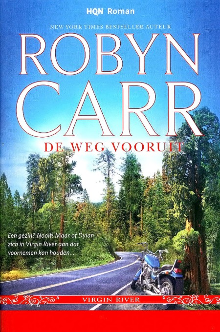 De weg vooruit