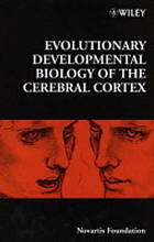 Evolutionary developmental biology of the cerebral cortex