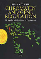 Chromatin and Gene Regulation