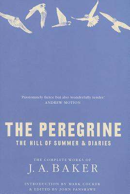 The Peregrine