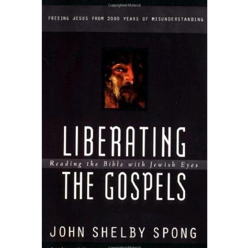 Liberating the Gospels : reading the Bible with Jewish eyes : freeing Jesus from 2,000 years of misunderstanding