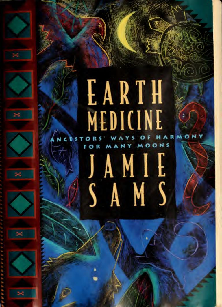 Earth Medicine