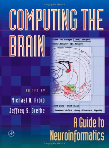 Computing the Brain