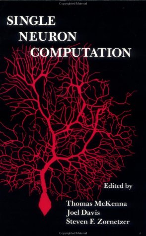 Single Neuron Computation