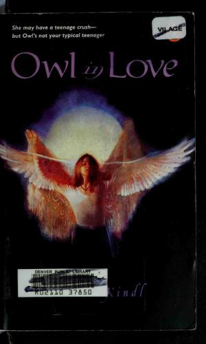 Owl in Love