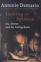 Looking for Spinoza