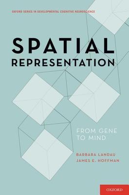 Spatial Representation