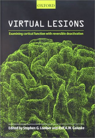 Virtual Lesions
