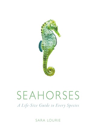 Seahorses