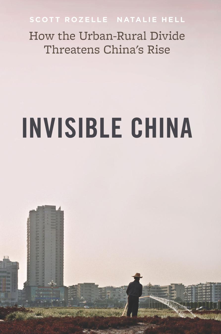 Invisible China