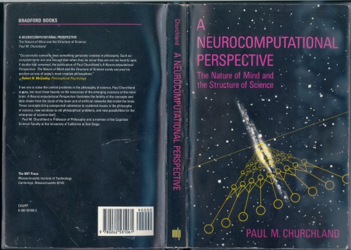 A Neurocomputational Perspective