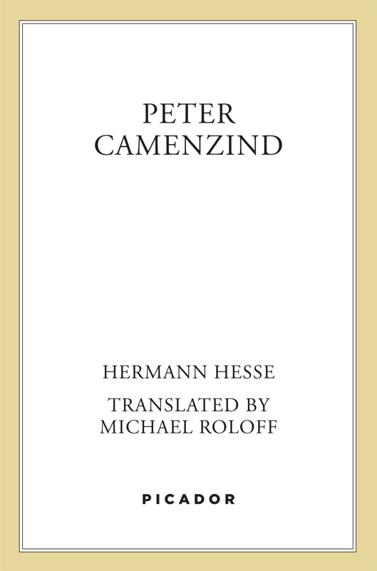 Peter Camenzind