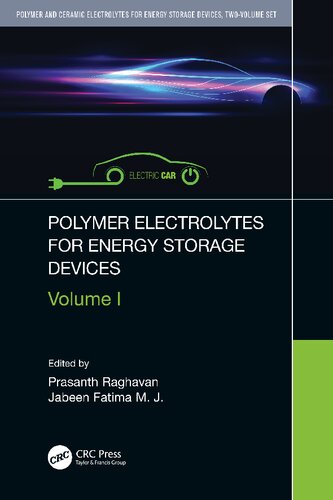 Polymer Electrolytes for Energy Storage Devices