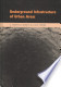 Underground Infrastructure of Urban Areas