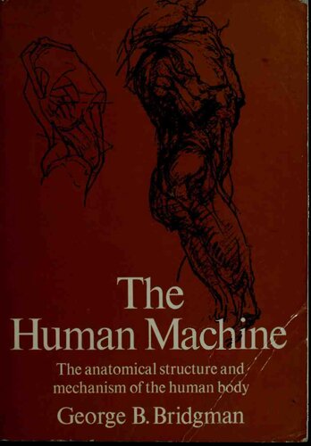 The Human Machine