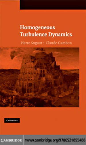 Homogeneous Turbulence Dynamics