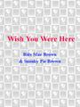 Wish You Were Here