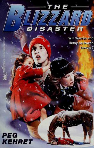The Blizzard Disaster