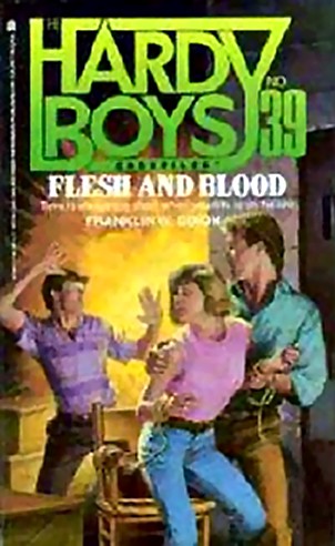 The Hardy Boys Casefiles