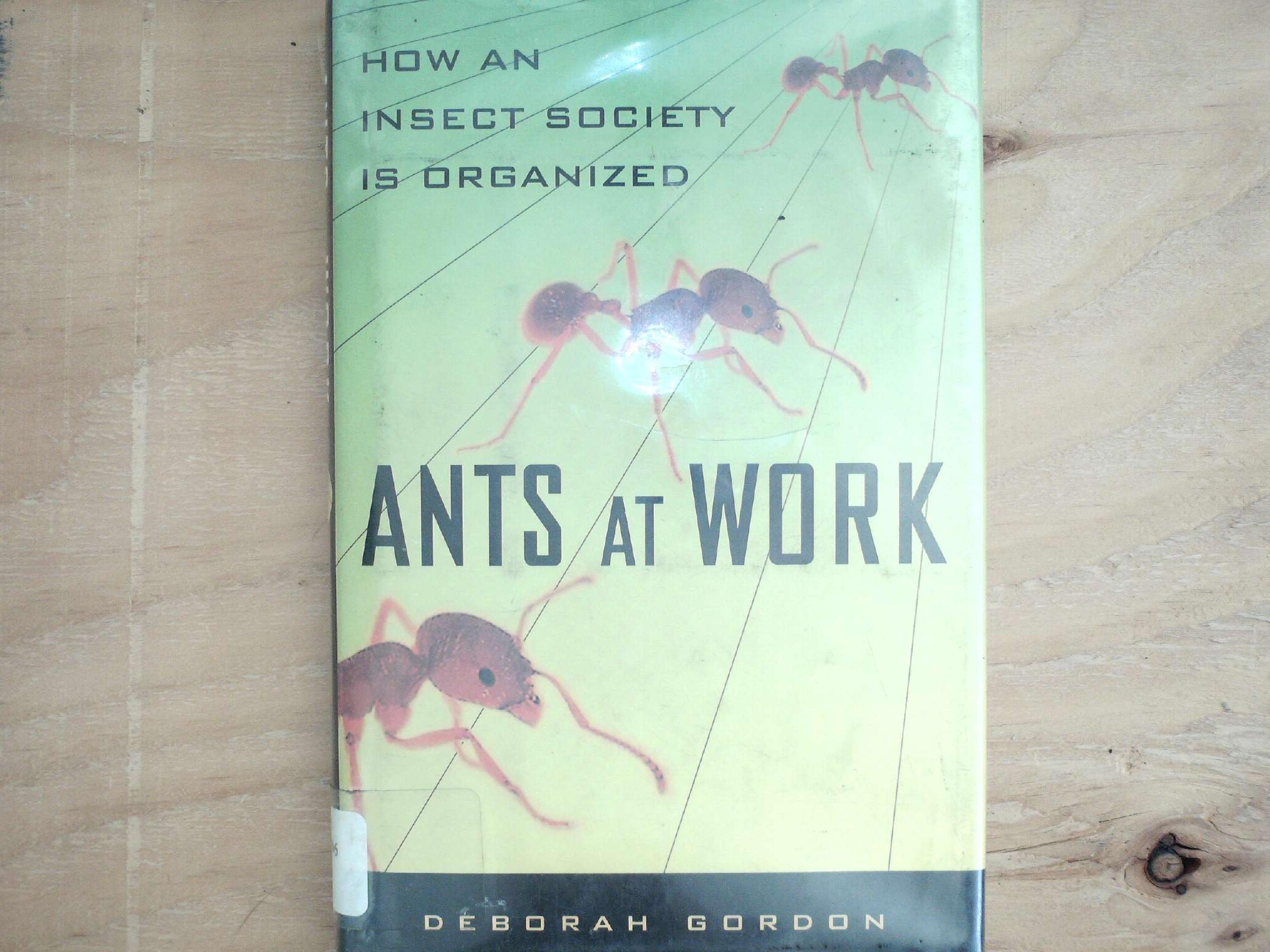 Ants at Work