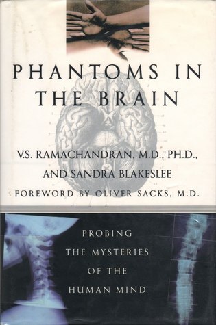 Phantoms in the Brain