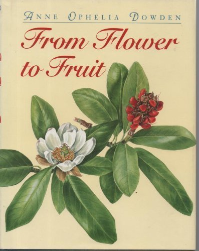 From Flower To Fruit