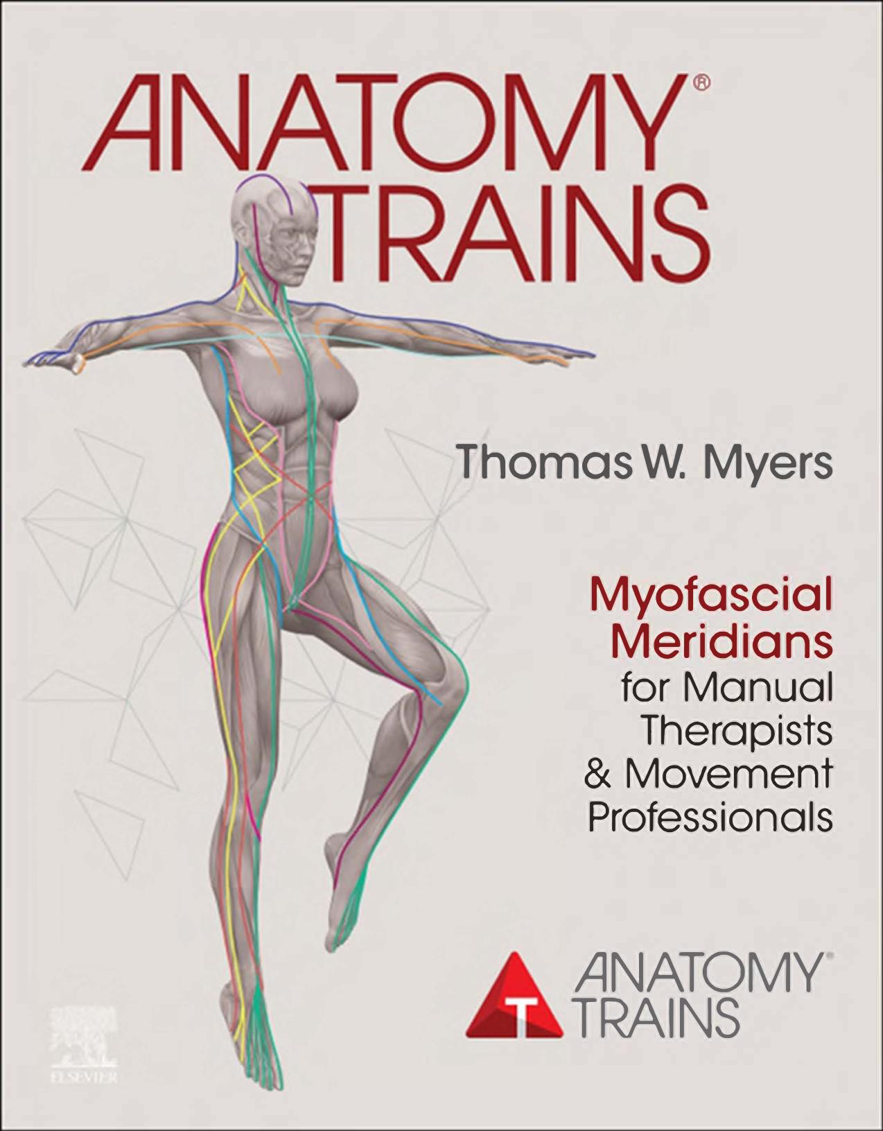 Anatomy Trains