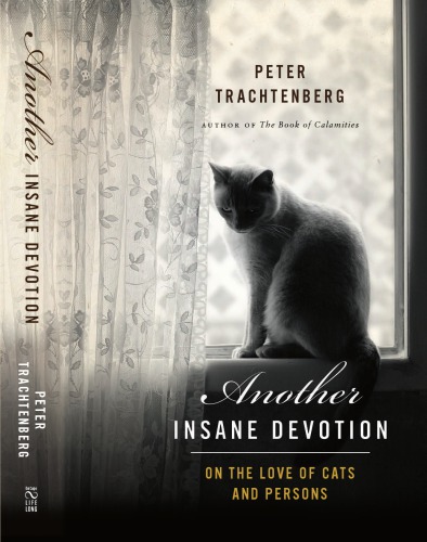 Another Insane Devotion