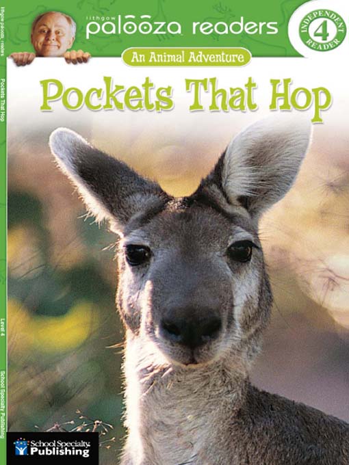 Pockets That Hop, Level 4