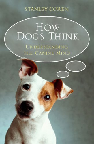 How Dogs Think