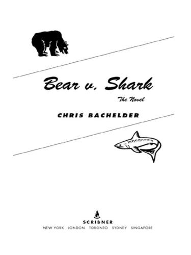 Bear v. Shark