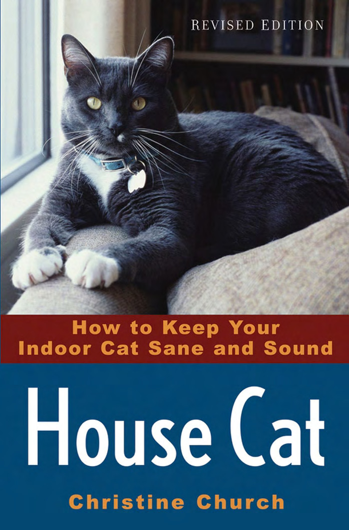 House Cat