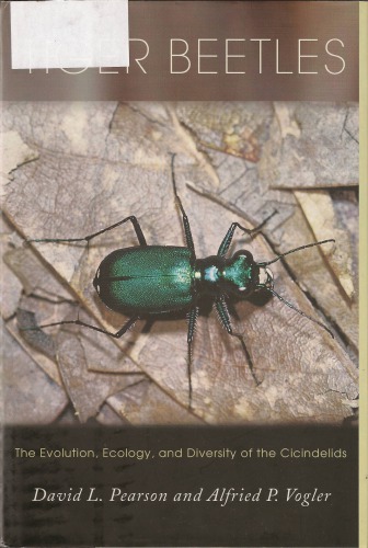 Tiger Beetles