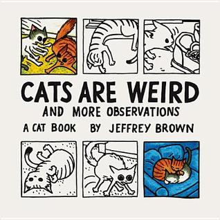 Cats Are Weird and More Observations