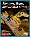 Monitors, Tegus, and Related Lizards