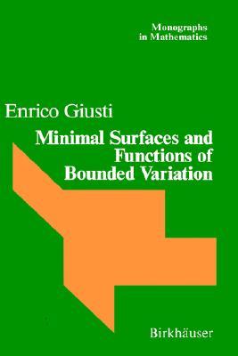 Minimal Surfaces and Functions of Bounded Variation