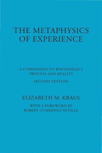 Metaphysics of Experience