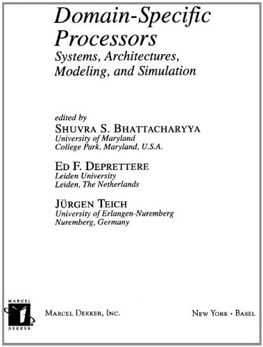 Domain-Specific Processors