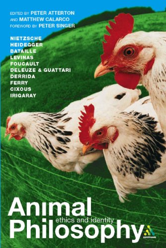 Animal Philosophy