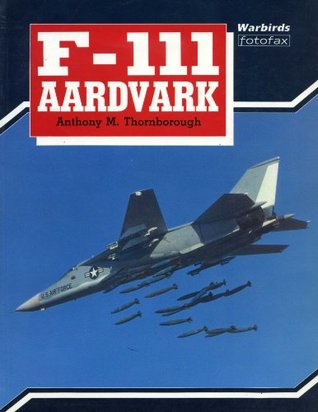 F 111 Aardvark