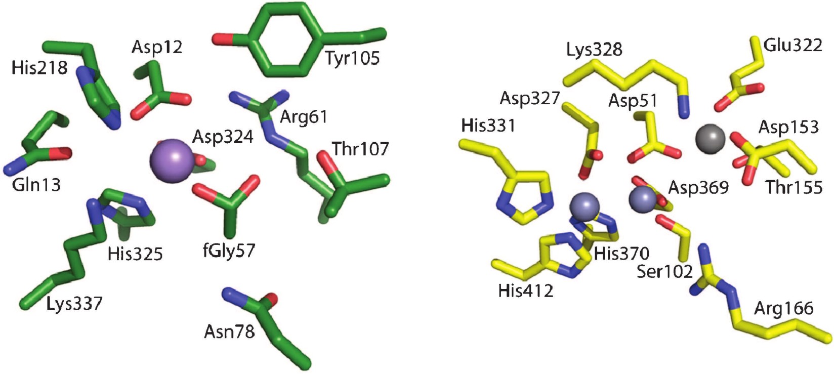 From Enzyme Models to Model Enzymes